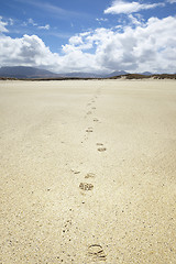 Image showing sand beach with footprints at Donegal Ireland