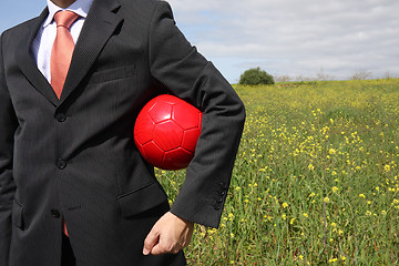 Image showing Red ball