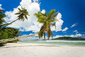 Image showing Beautiful beach in Seychelles