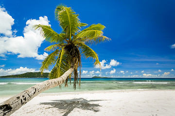 Image showing Beautiful beach in Seychelles