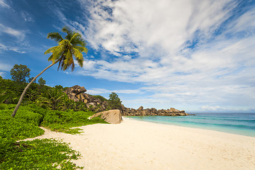 Image showing Tropical beach 