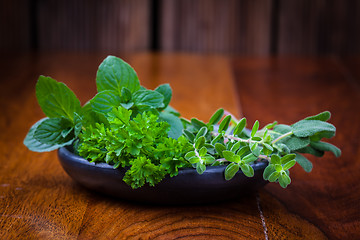 Image showing Fresh herbs from garden