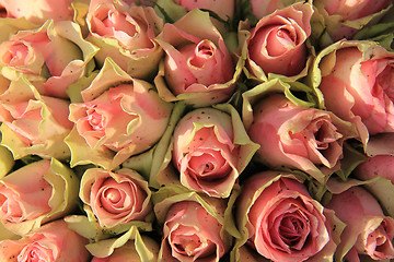 Image showing Wedding decorations with pink roses