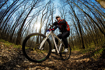 Image showing Cyclist Riding the Bike