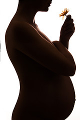 Image showing Silhouette of pregnant woman holding flower