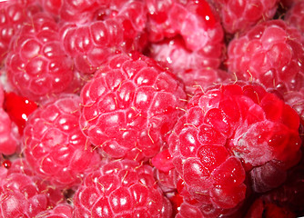 Image showing Raspberries