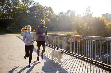 Image showing happy couple with dog running outdoors