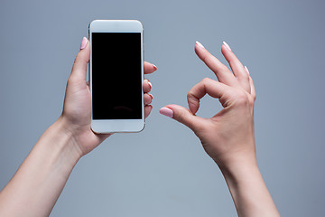 Image showing Closeup shot of a woman typing on mobile phone 