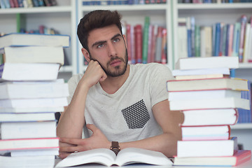 Image showing student study  in school library