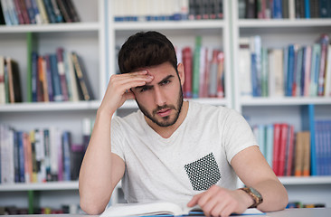 Image showing student study  in school library