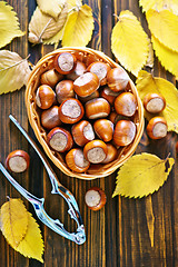 Image showing hazelnuts