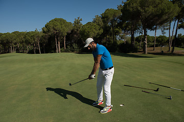 Image showing golf player hitting shot