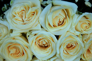 Image showing White wedding roses