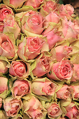 Image showing Wedding decorations with pink roses