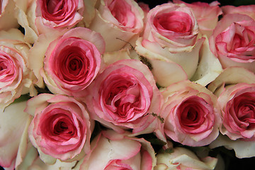 Image showing Pink wedding roses