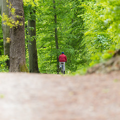 Image showing Cyclist Riding Bycicle on Forest Trail.