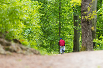 Image showing Cyclist Riding Bycicle on Forest Trail.