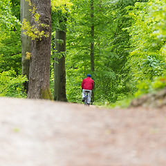 Image showing Cyclist Riding Bycicle on Forest Trail.