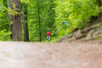 Image showing Cyclist Riding Bycicle on Forest Trail.
