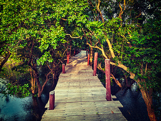 Image showing Wooden bridge in flooded rain forest jungle of mangrove trees