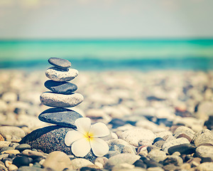 Image showing Zen balanced stones stack with plumeria flower