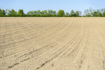 Image showing sunny agricultural scenery