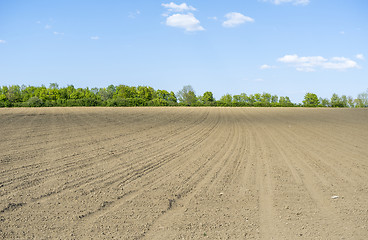 Image showing sunny agricultural scenery