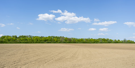 Image showing sunny agricultural scenery