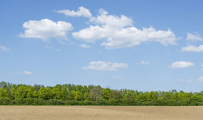 Image showing sunny agricultural scenery