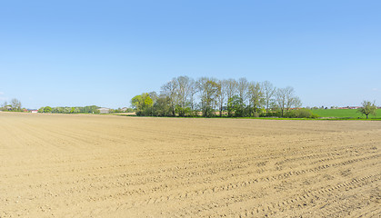 Image showing sunny agricultural scenery