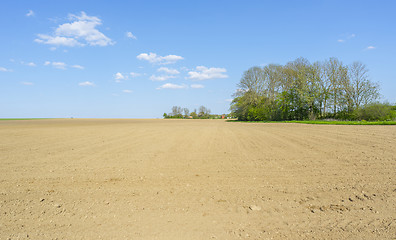 Image showing sunny agricultural scenery