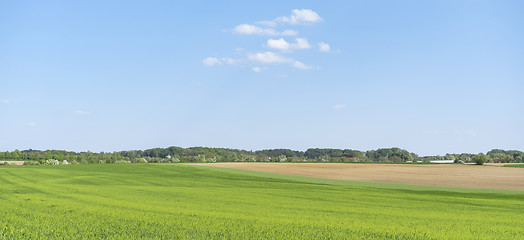 Image showing rural springtime scenery