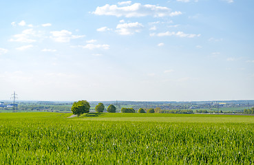 Image showing rural springtime scenery