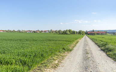 Image showing field path at spring time