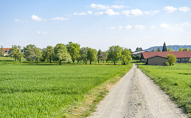 Image showing field path at spring time