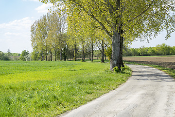 Image showing field path at spring time