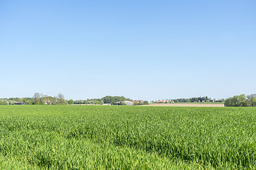 Image showing rural springtime scenery