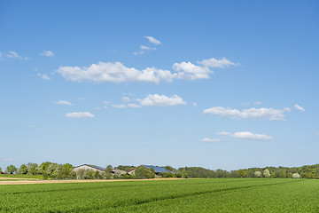 Image showing rural springtime scenery