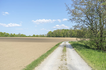 Image showing field path at spring time