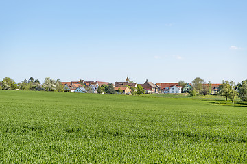 Image showing rural springtime scenery