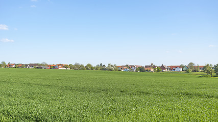 Image showing rural springtime scenery