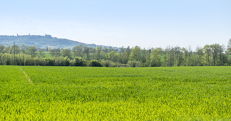 Image showing rural springtime scenery