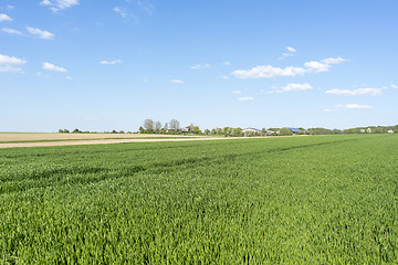 Image showing rural springtime scenery