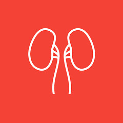 Image showing Kidney line icon.