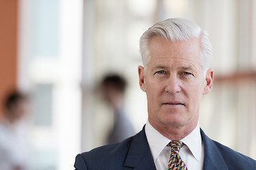 Image showing portrait of handsome senior business man at modern office