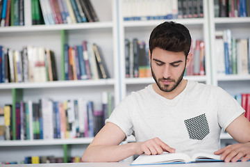 Image showing student study  in school library