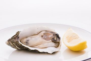 Image showing Oyster and Lemon