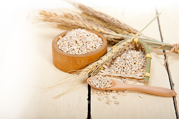 Image showing organic barley grains