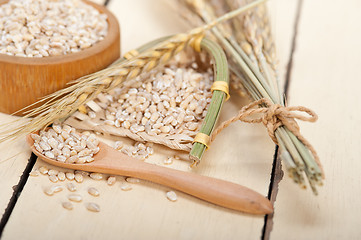 Image showing organic barley grains