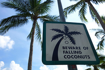 Image showing Sign of coconut fall in a park